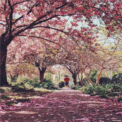 博鱼娱乐体育亮点